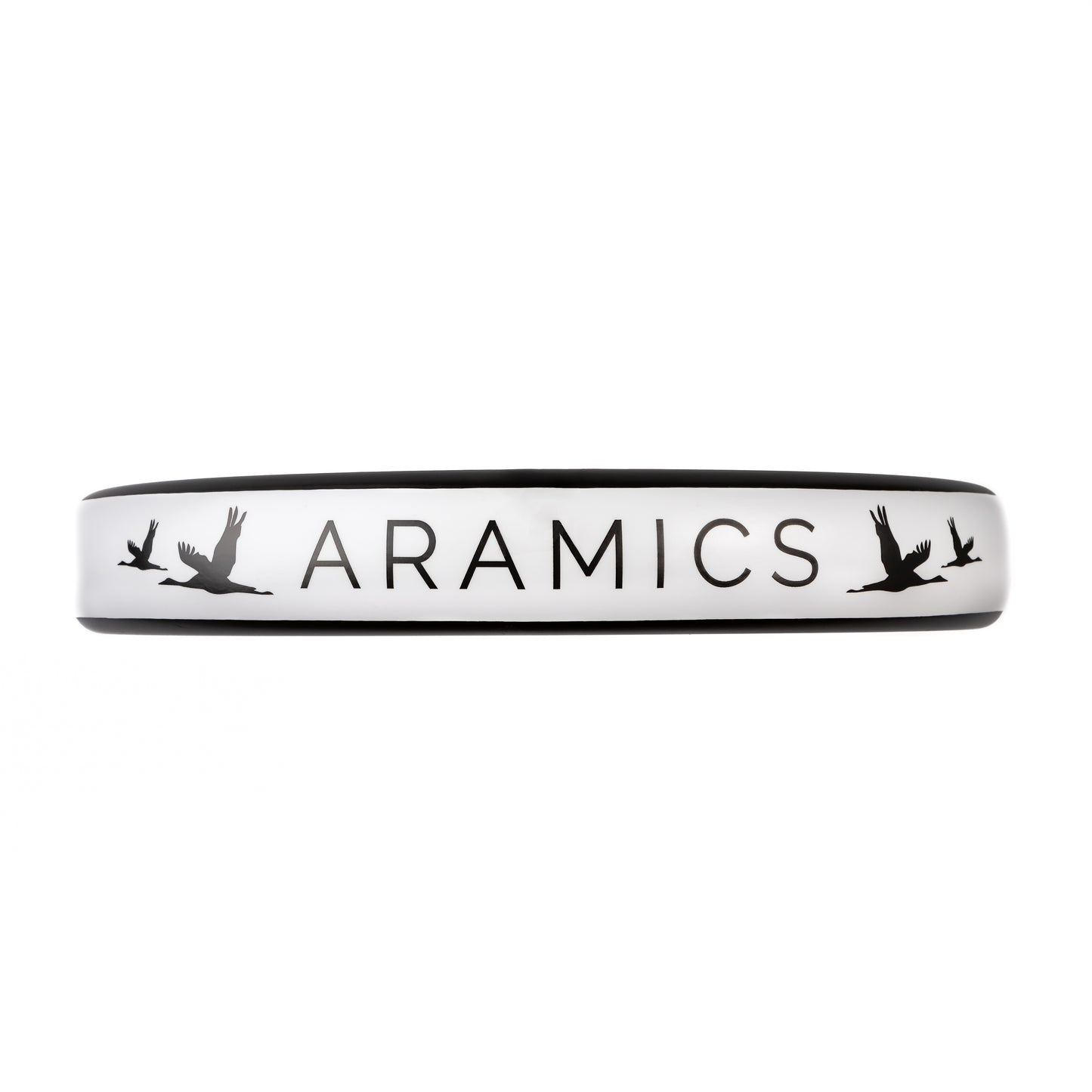 Aramics Y1